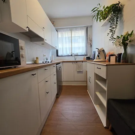Apartment Near Monaco *